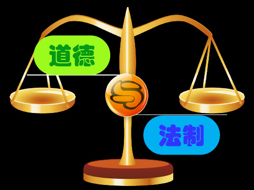 品质早会视频_品质早会内容项目_视频早会内容该讲些什么