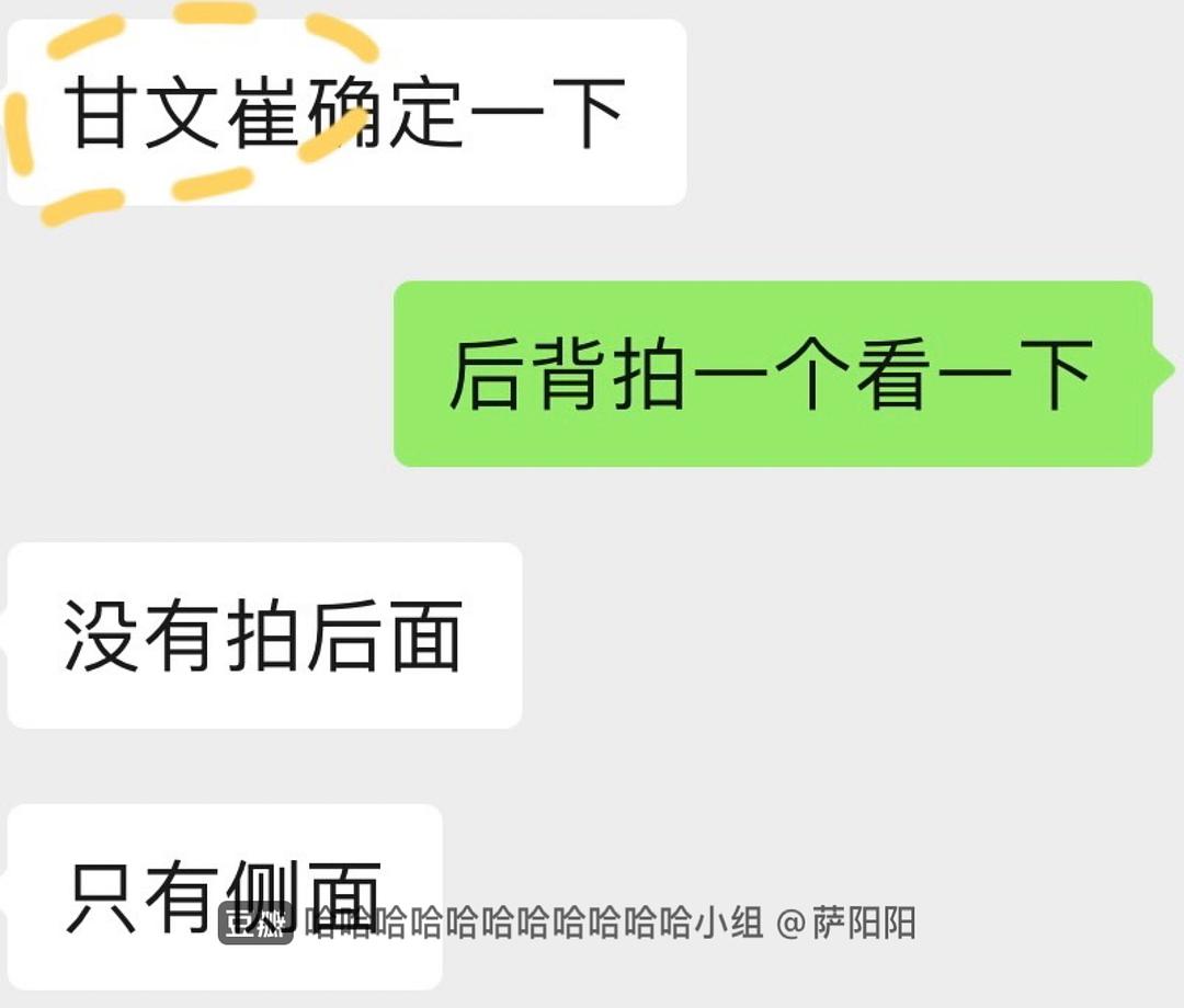白山大权背后的神秘身份揭晓