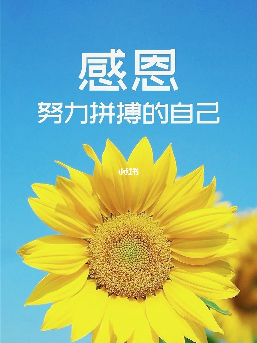 感恩皮肤碎片上哪整300个_感恩皮肤碎片上哪整300个_感恩皮肤碎片上哪整300个