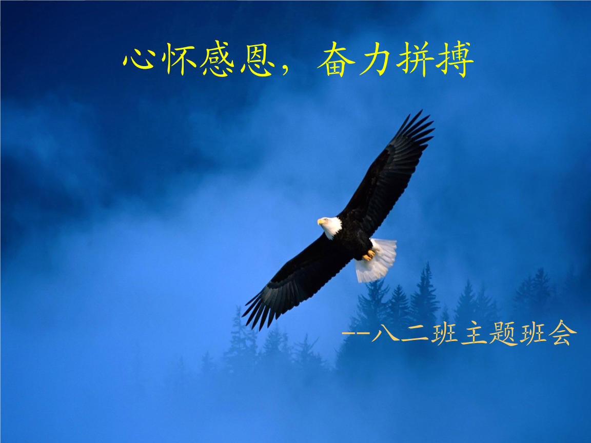 感恩皮肤碎片上哪整300个_感恩皮肤碎片上哪整300个_感恩皮肤碎片上哪整300个