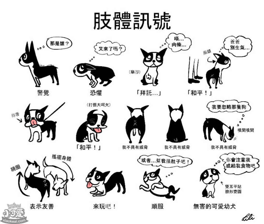 安全词_煤矿安全知识竞赛主持词_反义词安全