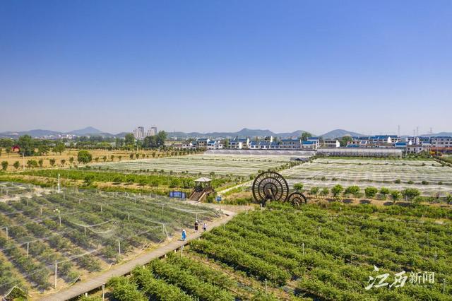 farmer农场手机游戏_farm农场单机游戏_农场手机游戏没有进度
