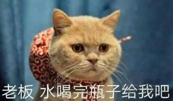 橙光游戏浪费手机吗_橙光废柴破解版_橙光游戏废材破解版完结
