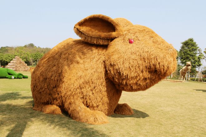 铂金终局结尾_铂金终局完结了吗_铂金终局结局