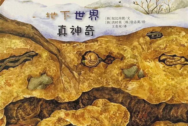 鼹鼠_鼹鼠同盟_鼹鼠多少钱一只