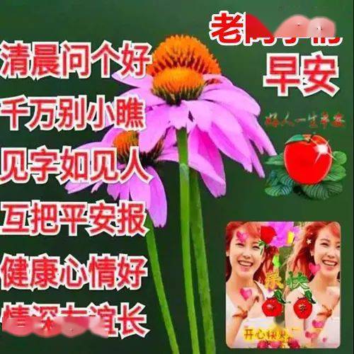 田曦薇_田耕纪_朝田