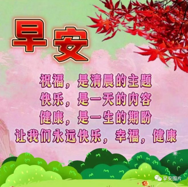 朝田_田曦薇_田耕纪